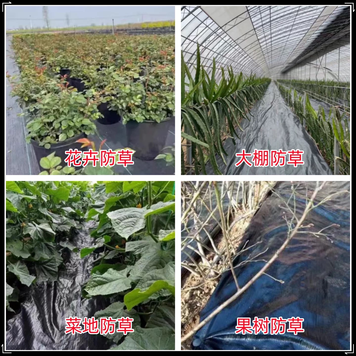 哈尔滨市防草布防草布 - 哪里好