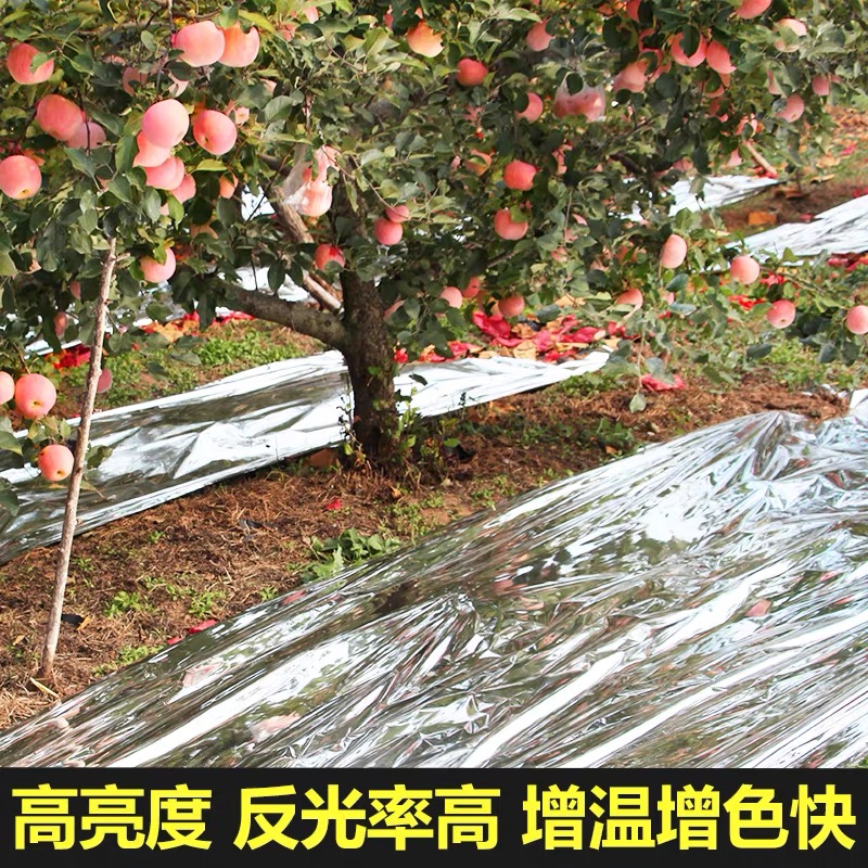 哈尔滨市黑白养殖膜果树反光膜 - 一站式服务